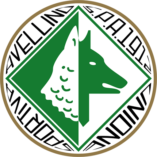 US Avellino logotyp